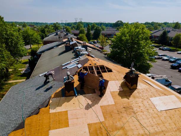 Trusted Roof Replacement service in Mount Zion, GA - Brentwood Metal Roofing